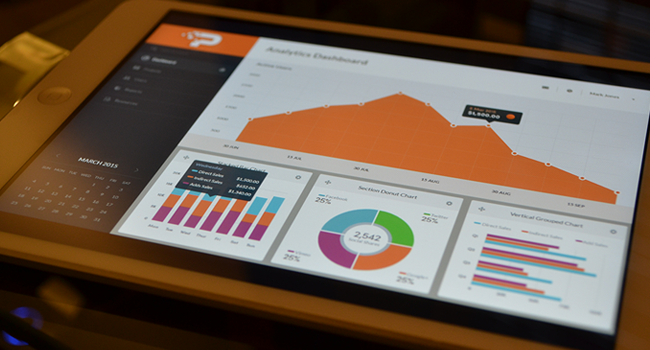 Reporting & Analytics - iPad Application Design